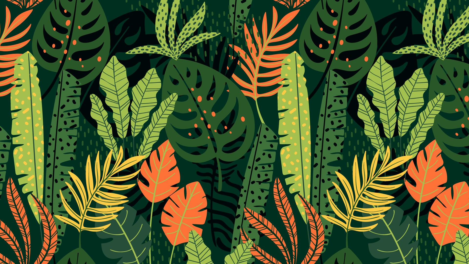 Creative plugins for Adobe Illustrator | Astute Graphics