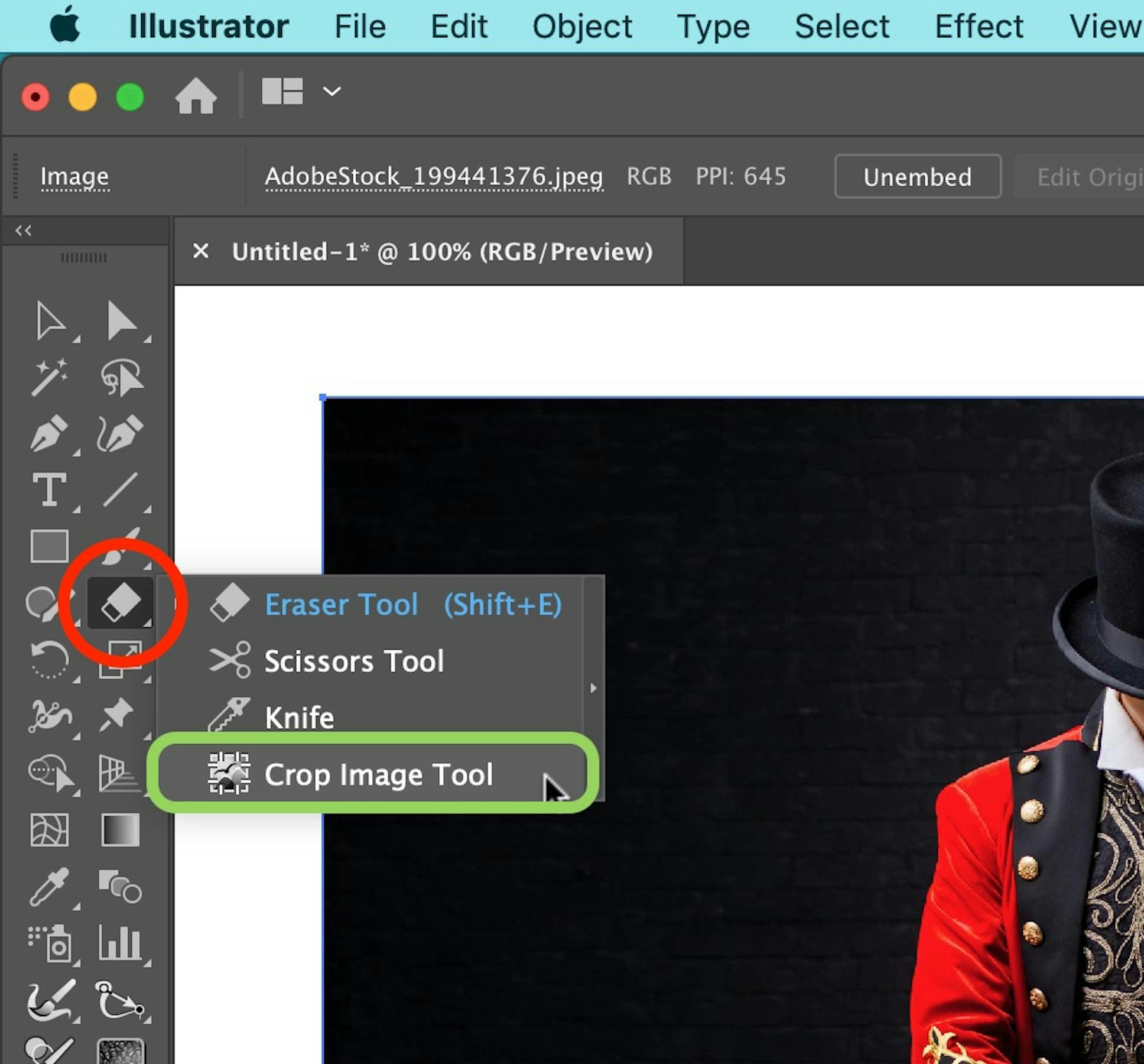 Lista 20+ Foto how to crop an image in illustrator Alta definición completa, 2k, 4k